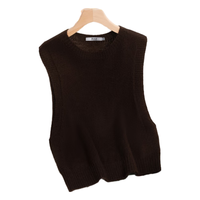 雪中飞（SNOWFLYING）【无缝一体】100%纯羊毛衫针织马甲女时尚圆领百搭叠穿毛衣秋冬 咖色 常规 M