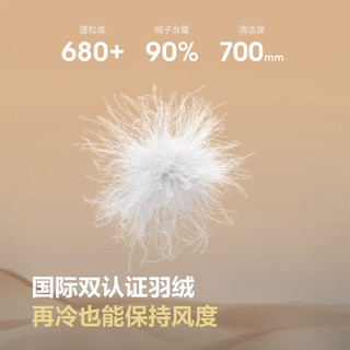 波司登 B250245268 90绒脱卸帽大毛领 薄荷茶绿 S 女士羽绒服