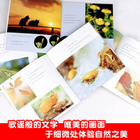 亲亲自然全套共11册 寻找春天系列绘本儿童科普百科故事书科学启蒙图画书小一二三四年级课外阅读书籍耕林童书