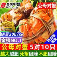 移动端、京东百亿补贴：盘锦河蟹 PANJINCRAB 辽宁稻田河蟹 0.9-1.2两 10只