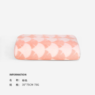 SANLI 三利 柔软大毛巾吸水速干A类毛巾  2条