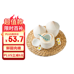 京鲜生 泰国进口椰青椰子 9个装 大果 单果900g+  赠开椰器（低至5.52元/个）