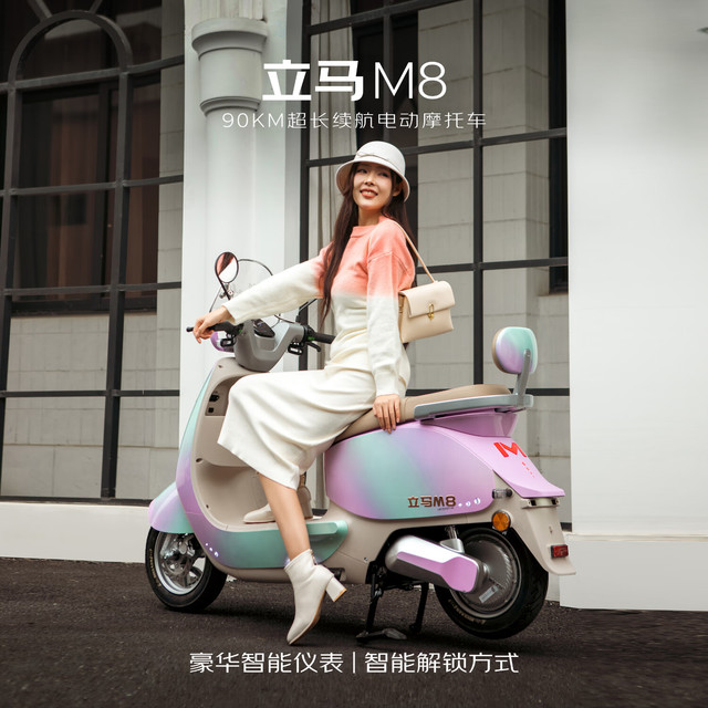 立马电动车 M8远航版 电动摩托车 72V20Ah 浪漫紫