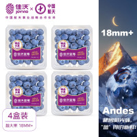 佳沃 秘鲁进口蓝莓 大果18mm+ 4盒装 125g/盒（合12.47元/盒！）
