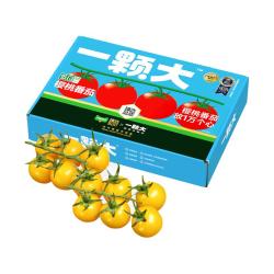 一颗大 臻选番茄精品礼盒装酸甜爆汁基地直发