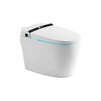 杉本SUGIMOTO 智能马桶一体机 标准版 250mm