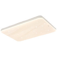  Pak/三雄极光 全光谱 吸顶灯  20-30㎡（含）