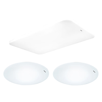 松下（Panasonic）客厅灯吸顶灯现代简约遥控调光调色灯具 二室一厅