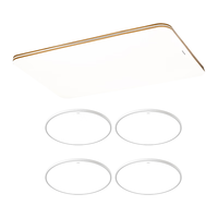 松下（Panasonic）全光谱吸顶灯客厅灯超薄灯具遥控调光 明畔快装灯四室一厅 【全光谱+快装灯】四室一厅套装B