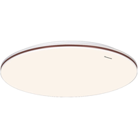 Panasonic 吸顶灯  50W