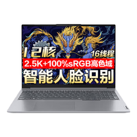 联想拯救者Y7000P 2024款游戏本 酷睿i7 满血RTX4060独显 大设计师高性能电竞笔记本电脑可选 政府 i5-13500H 2.5K超清核显丨TB16 32G内存 1T固态丨电竞芯片高