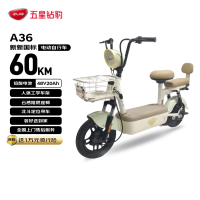 五星钻豹 电动自行车 2026新新新新国标家用通勤电动车芦荟浅绿 绿色