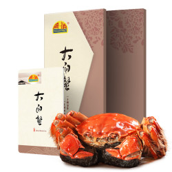 碧波 阳澄湖大闸蟹礼券中秋礼盒提货卡螃蟹 铂金A1058型公4两母3两4对8只