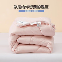 水星儿童 水星家纺被子冬被芯 婴幼A类加厚冬被子透气纤维被家用双人宿舍被芯 母婴A类抗菌防螨 粉