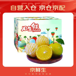 京鲜生 广西皇帝柑/贡柑 净重5斤 单果100g起 生鲜水果彩箱礼盒