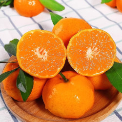 京鲜生 春节也送货！水果车:广西砂糖橘 净重5斤装（可搭配耙耙柑、沃柑、爱媛、秋月梨等）