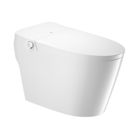 大白厦门diiib智能马桶一体机 0水压带水箱加热座便器 智净X6 400坑距