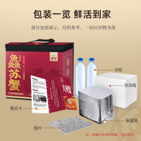 鱻谣 XIAN YAO 大闸蟹全母2.8-3.1两4对8只去绳足重礼盒