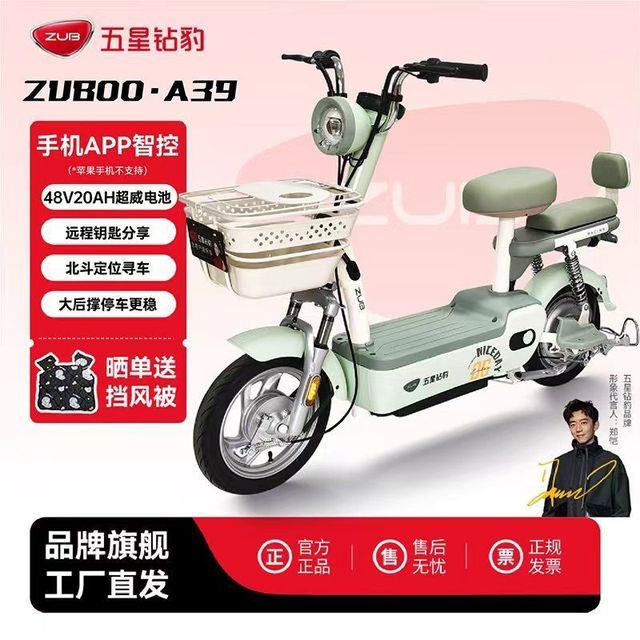 五星钻豹 A39 电动自行车 48V20Ah
