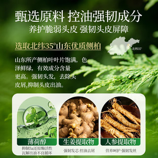 霸王 侧柏叶洗发水 500ml