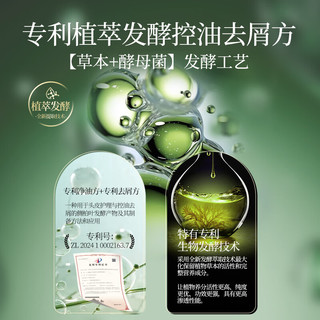 霸王 侧柏叶洗发水 500ml