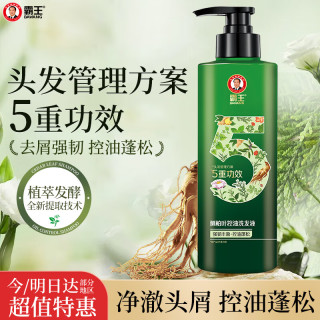 霸王 强韧丰盈洗发水侧柏叶生姜洗发露 500ml