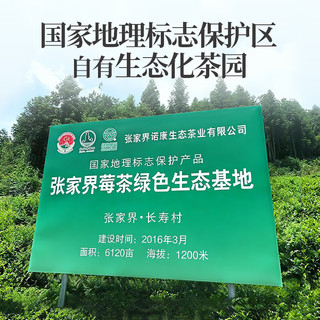  丙田 特级 莓茶
