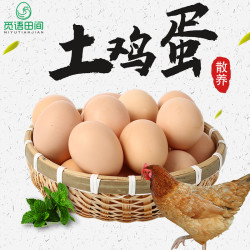 觅语田间 农家散养土鸡蛋 40g*30枚