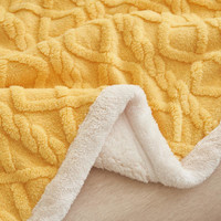 乐加 lehome 2025新款双层四季毛毯加厚午休毯多功能盖毯y