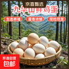 九华山 国产山林散养土鸡蛋 40-50g 10枚