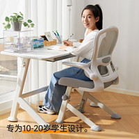 国家补贴、PLUS会员：八九间 Y5F元气电脑椅四脚写字升降学习椅工学办公椅子家用小巧舒适 Y5F_浅灰_2代 （碳钢升降F脚）