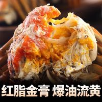 百亿补贴：今旺 可选8/10只特大现货大闸蟹鲜活螃蟹精品礼盒全母河蟹官方旗舰