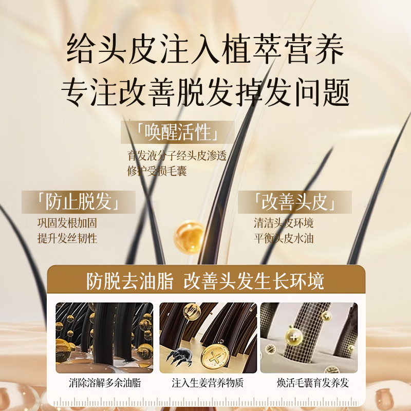  ZOOLY/卓蓝雅 防脱固发 生姜防脱洗发水  80ml
