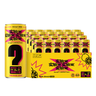 雪花 BeingX实验室双柚啤酒 8度 330ml*24听 果啤