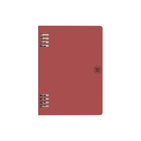 国文拾墨电子笔记本智能手写板记事本智能办公本纸屏同步可存储会议记录本日记本智能办公本手写本 智能云笔记N6-锌灰色(配电磁笔)