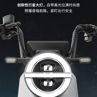 爱玛（AIMA）酷骑S新国标可上牌铅酸电池长续航成人电瓶车电动自行车 到店选色提车