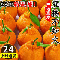 移动端、京东百亿补贴：晟容果蔬 丑橘四川不知火橘子应季新鲜水果耙耙柑桔子粑粑柑10斤 果径60-70mm｜超甜 净重4.5-5斤