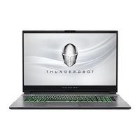 ThundeRobot/雷神 2.5K巨屏165Hz 游戏笔记本电脑 无机械硬盘 2560*1440 i7-13620H 灰色 165Hz 16GB 1TB RTX