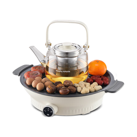 Morphy Richards/摩飞 多功能 养生壶 电陶炉 白色 0.65L