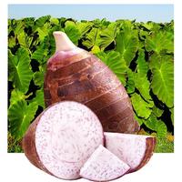 沙巴哇越南菠萝蜜搭配芋头果蔬无添加即食休闲零食小吃果干