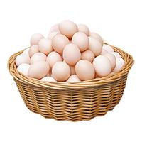 燕域田园 散养土鸡蛋30枚 新鲜初生蛋正宗农家笨鸡蛋谷物喂养单枚40g±5g