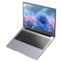 DERE 戴睿 16.0-16.9英寸 银色(赛扬N5095、intel 集成显卡、32GB、2TB+无机械硬盘、1920x1080、IPS、60Hz、R16pro)