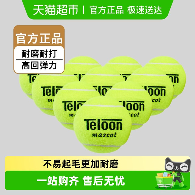天龙 Teloon 网球用球603Rising801Ace初学训练球高回弹力袋装耐磨
