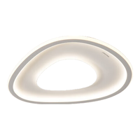 三雄极光吸顶灯led 客厅大灯卧室房间餐厅灯全光谱流水追光护眼吸顶灯具 优影 48W Ra97 白色