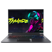 ThundeRobot 雷神 ZERO 十一代酷睿版 16.0英寸 游戏本 银翼灰 (酷睿i9-11900H、RTX 3060 6G、16GB、512GB SSD、2.5K、IPS、165Hz)