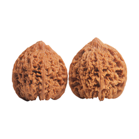 月印百川 核桃文玩蛤蟆头古玩麻核桃手把件约33-34mm+盘玩礼包