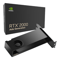丽台 RTX 2000 Ada Generation 16GB ECC 专业显卡