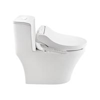 Panasonic 松下 智能马桶套装  DL-5210CWS智能马桶盖+管线隐藏式一体坐便器 400mm坑距