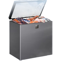 海尔 BC-200W 卧式冷柜 零下40℃速冻 200L