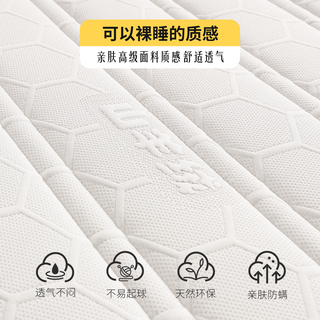  TISS/帝斯 护腰护脊 黄麻床垫